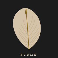 新球体育 logo